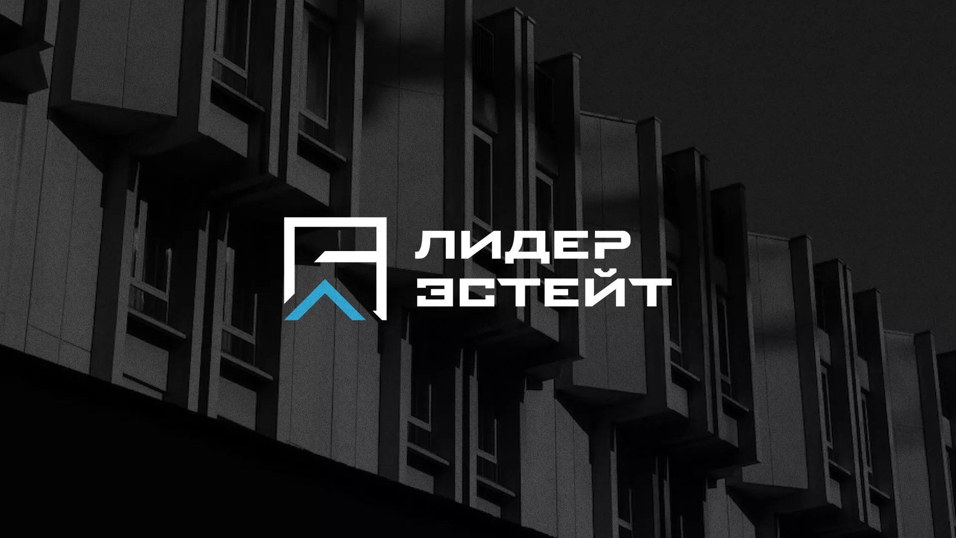 Разработка логотипа агентства недвижимости «Лидер Эстейт» в Лесозаводске